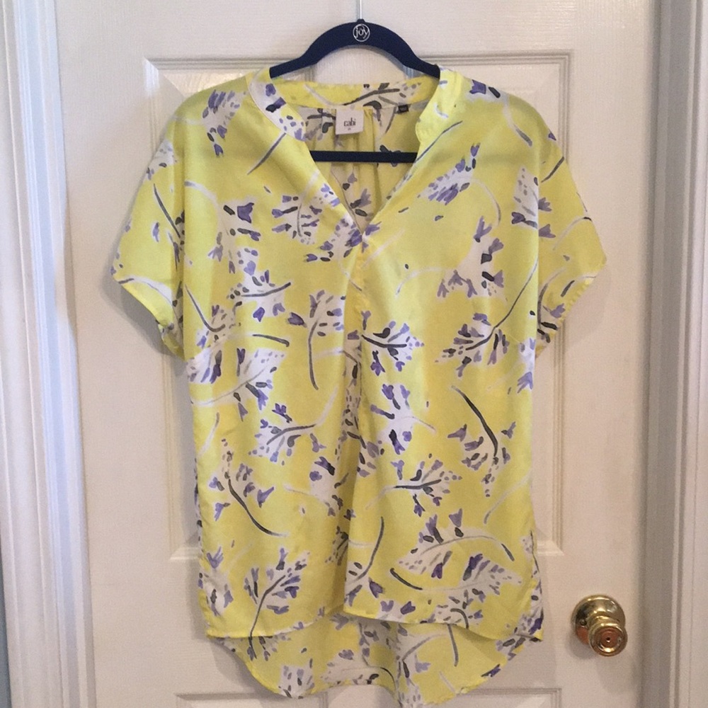 Cabi blouse